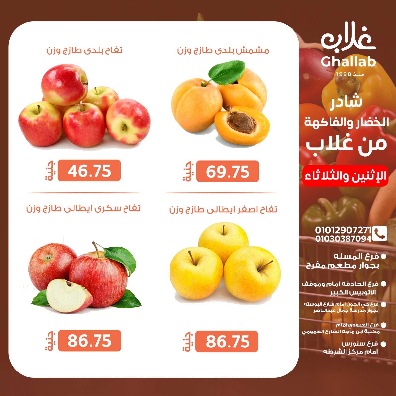 Page 13 dans Fresh deals chez Marchés de Ghallab Egypte