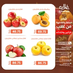 Page 13 dans Fresh deals chez Marchés de Ghallab Egypte
