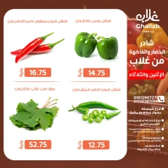 Page 7 dans Fresh deals chez Marchés de Ghallab Egypte