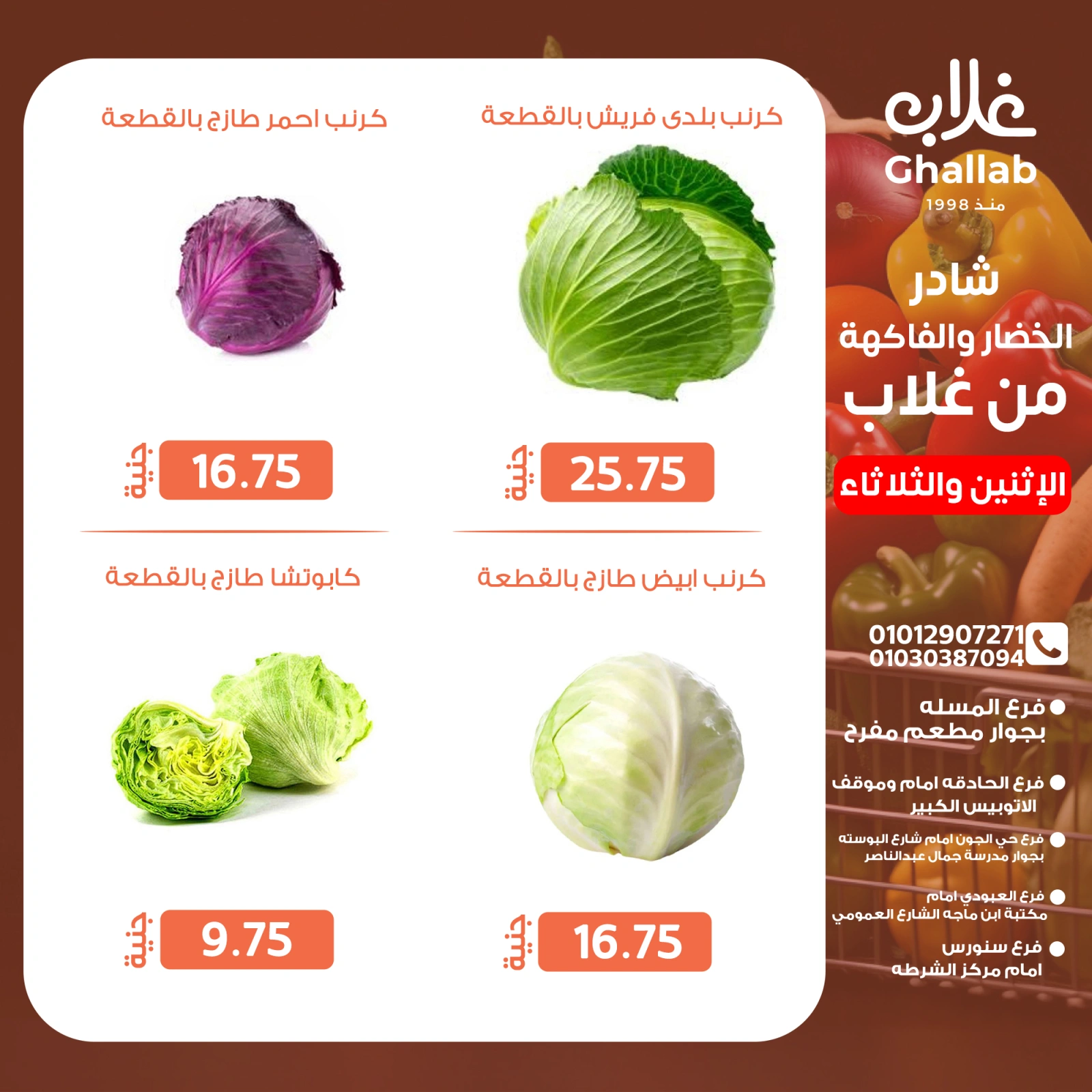 Page 9 dans Fresh deals chez Marchés de Ghallab Egypte