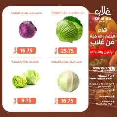 Page 9 dans Fresh deals chez Marchés de Ghallab Egypte