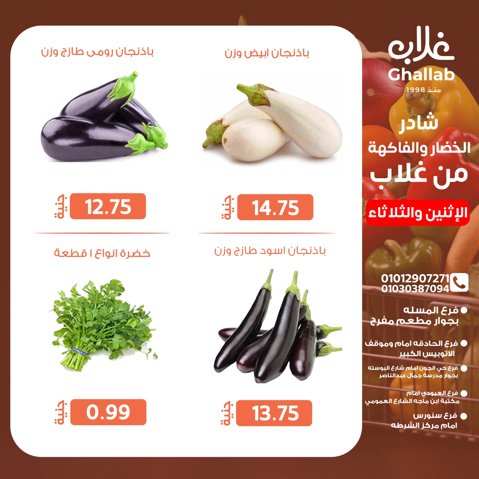 Page 8 dans Fresh deals chez Marchés de Ghallab Egypte