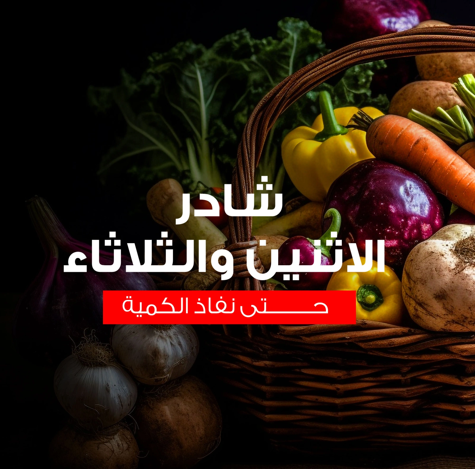 Page 1 dans Fresh deals chez Marchés de Ghallab Egypte
