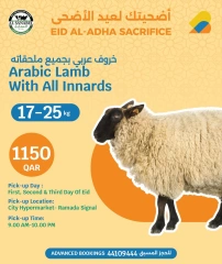 Página 1 |Tu sacrificio de Eid al-Adha ofrece en City hiper Katar