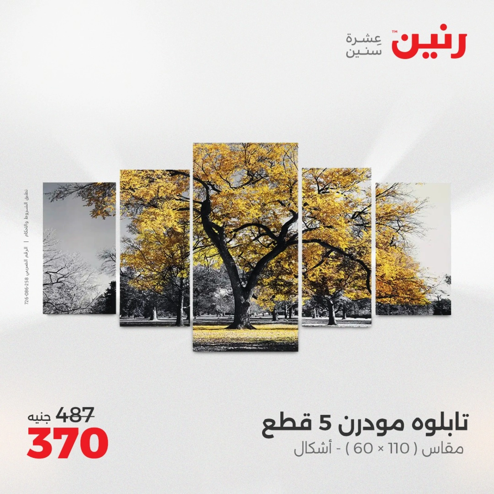 صفحة 6 ضمن عروض قطع الديكور في رنين مصر