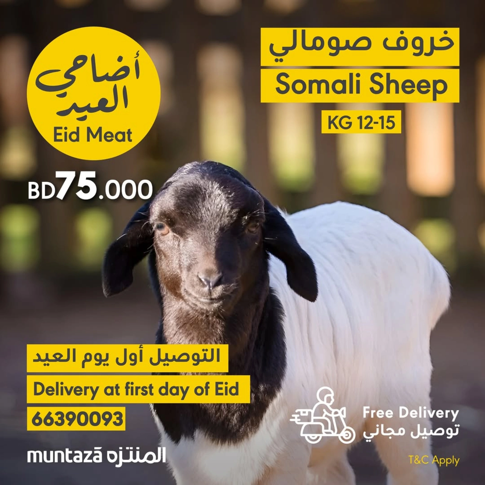صفحة 1 ضمن عروض أضاحى العيد في المنتزة سوبر ماركت البحرين