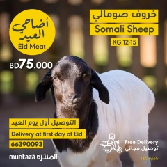 Página 1 en Eid al-Adha ofrece en supermercado al muntazah Bahréin