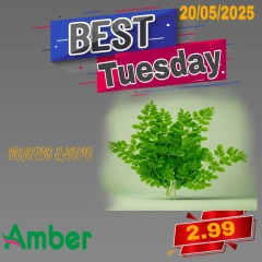 Page 6 in Tuesday Bazar Offers at Anbar AL Madina UAE