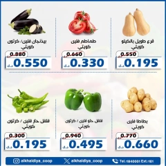 Page 2 |Vegetable and fruit offers at Al Khalidiya co-op Kuwait