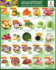 Page 16 |Back to Home offers at Nesto Kuwait