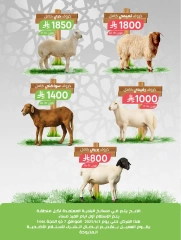 Page 3 in Cheese and appetizer offers at Farm markets Saudi Arabia