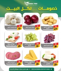 Page 9 dans Offres week-end chez Green Tree Egypte