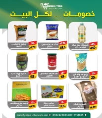 Page 10 dans Offres week-end chez Green Tree Egypte