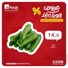 Página 4 en Ofertas de fin de semana en Mercado Al Rayah Egipto