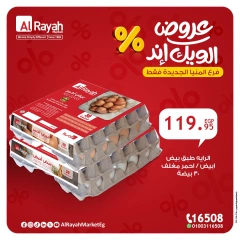 Página 9 en Ofertas de fin de semana en Mercado Al Rayah Egipto
