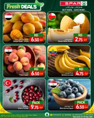 صفحة 1 |صفقات طازجة لدي سبار قطر