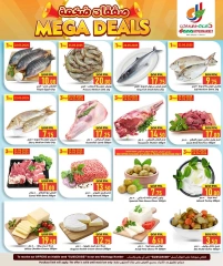 Página 3 |Grandes ofertas en Hipermercado Dana Katar