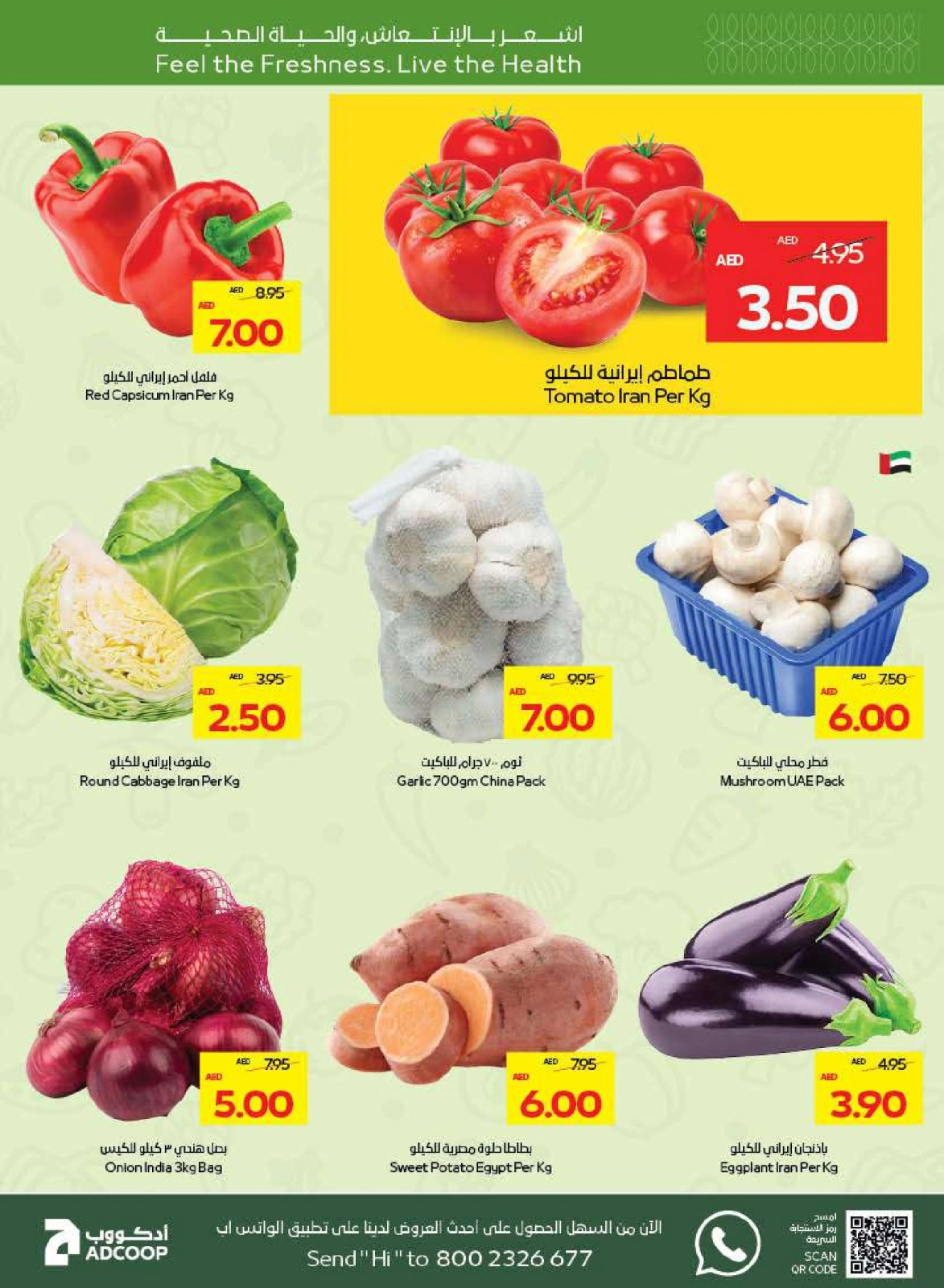 Page 3 in Beauty & Wellness offers at Abu Dhabi coop ADCOOP UAE