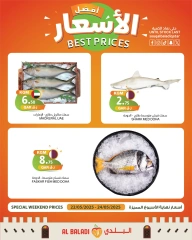 Página 7 |Precios de fin de semana en Souq Al Baladi Katar