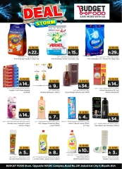 Page 8 in Storm Deal at Budget Food Saudi Arabia