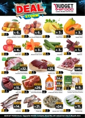 Page 2 in Storm Deal at Budget Food Saudi Arabia