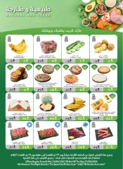Page 7 in Hajj Mabroor offers at Al Rayah Market Saudi Arabia