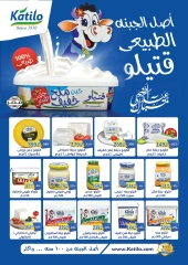 Page 3 dans Offres de l'Aïd Al Adha chez Abo El Soud Hyper Egypte