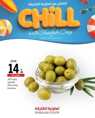 Page 16 in Stay Cool this Summer Deals at Sharjah Cooperative UAE