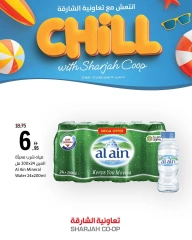 Page 13 in Stay Cool this Summer Deals at Sharjah Cooperative UAE