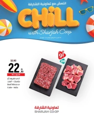 Page 10 in Stay Cool this Summer Deals at Sharjah Cooperative UAE