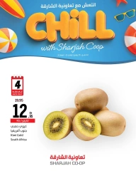 Page 18 in Stay Cool this Summer Deals at Sharjah Cooperative UAE