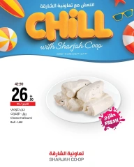 Page 9 in Stay Cool this Summer Deals at Sharjah Cooperative UAE