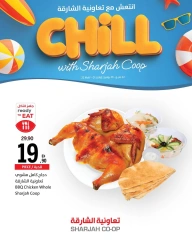Page 17 in Stay Cool this Summer Deals at Sharjah Cooperative UAE
