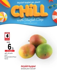Page 19 in Stay Cool this Summer Deals at Sharjah Cooperative UAE