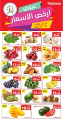 Page 4 dans Offres au meilleur prix chez Hasad Albasatin Arabie Saoudite