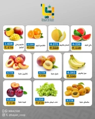 Page 3 in Vegetable and fruit offers at Bayan co-op Kuwait