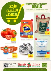 صفحة 1 ضمن صفقات مذهلة في نستو السعودية