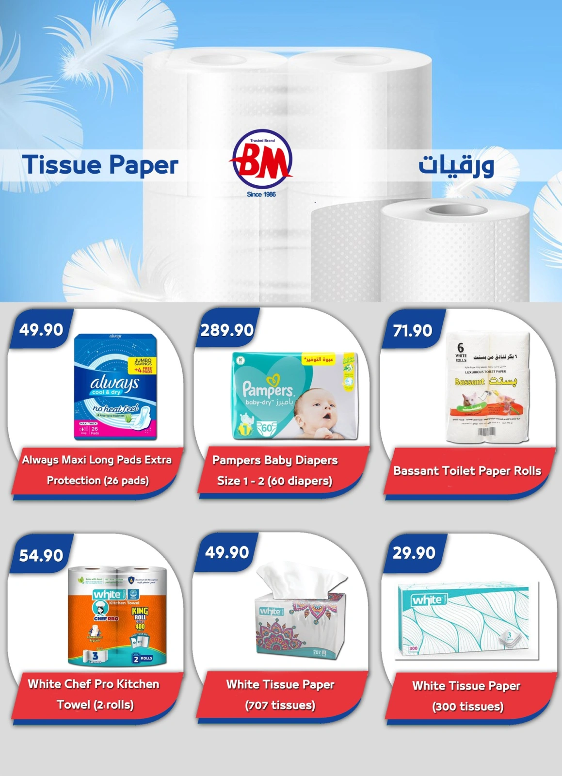 Página 19 en ofertas de verano en Mercado de Bassem Egipto
