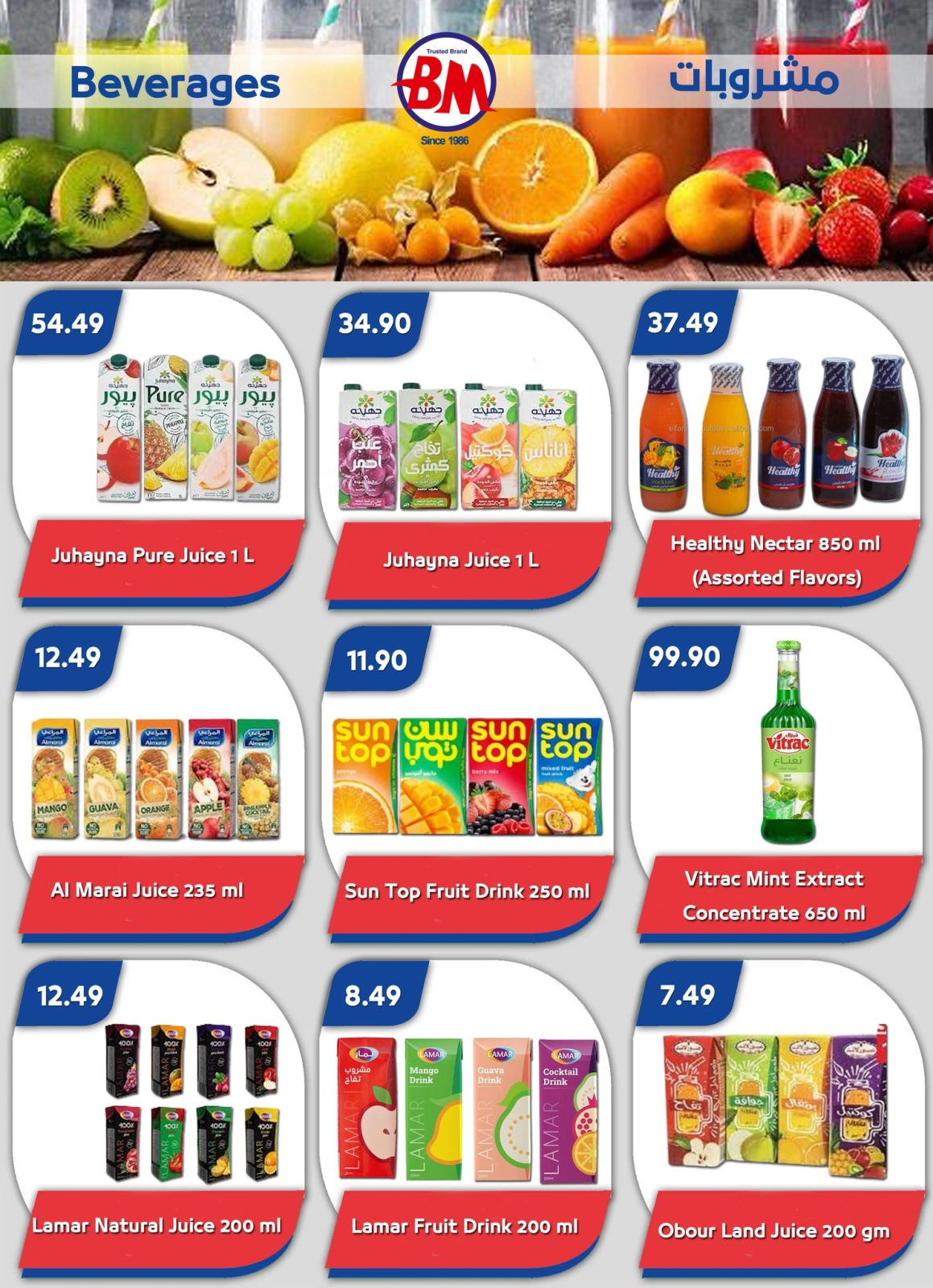 Página 14 en ofertas de verano en Mercado de Bassem Egipto