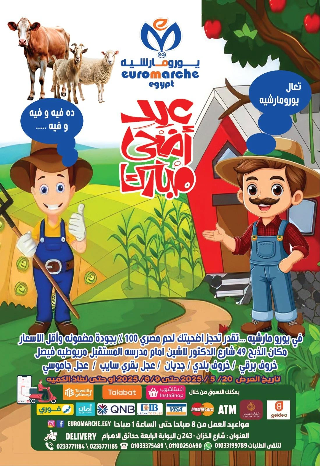 Page 1 in Eid Al Adha Mubarak offers at Euromarche Egypt