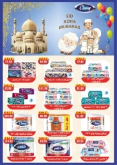 Page 32 in Eid Al Adha Mubarak offers at Euromarche Egypt