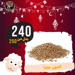Page 5 in Eid Al Adha offers at Saad El Gamal hypermarket Egypt