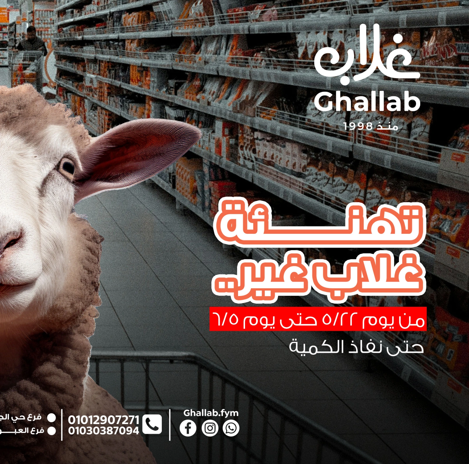 Page 1 dans Offres de l'Aïd Al Adha chez Marchés de Ghallab Egypte