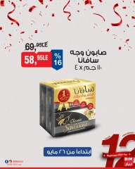 Página 7 en Oferta de la semana en Mercado BIM Egipto