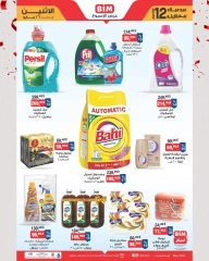 Página 1 en Oferta de la semana en Mercado BIM Egipto