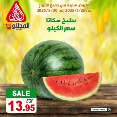 Page 8 dans Offres fantastiques chez Marché El Mahlawy Egypte