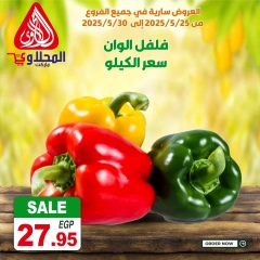 Page 5 dans Offres fantastiques chez Marché El Mahlawy Egypte