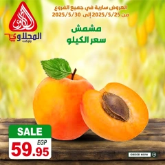 Page 7 dans Offres fantastiques chez Marché El Mahlawy Egypte