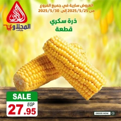 Page 3 dans Offres fantastiques chez Marché El Mahlawy Egypte