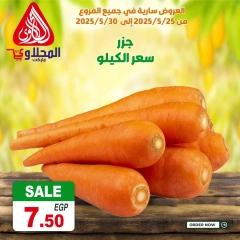 Page 1 dans Offres fantastiques chez Marché El Mahlawy Egypte